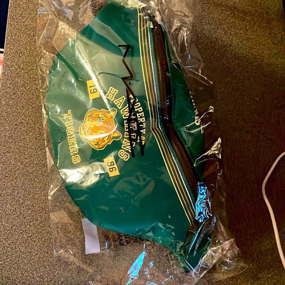Stranger Things Fanny Pack never opened